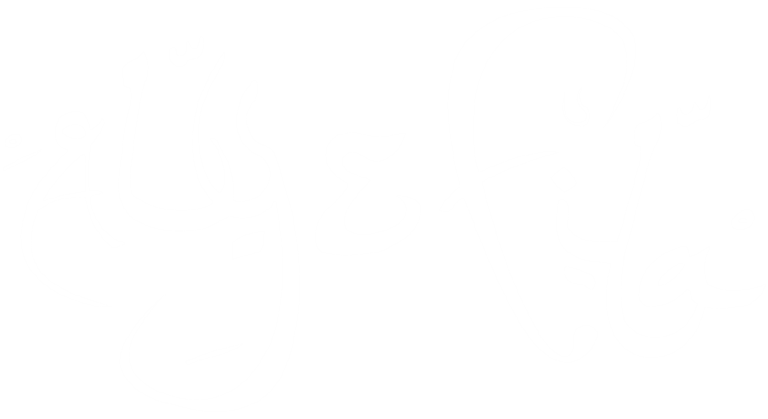 Aly and Fila